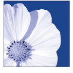 Flower Pop Blue III