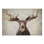 Elmer the Moose